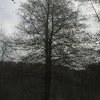 031212SihlwladBuche2 Kopie